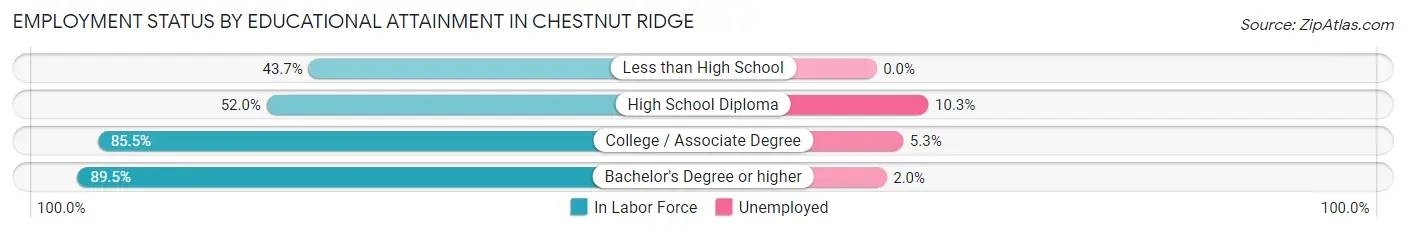 Employment Status by Educational Attainment in Chestnut Ridge
