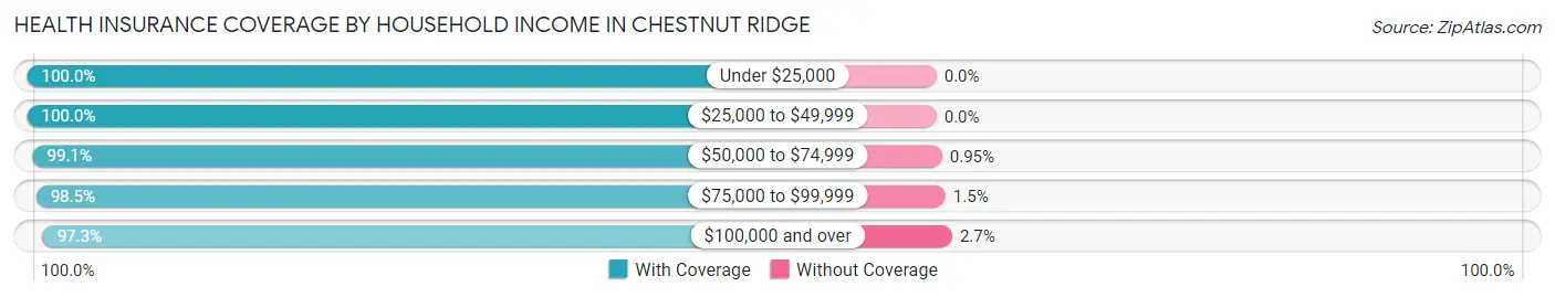 Health Insurance Coverage by Household Income in Chestnut Ridge