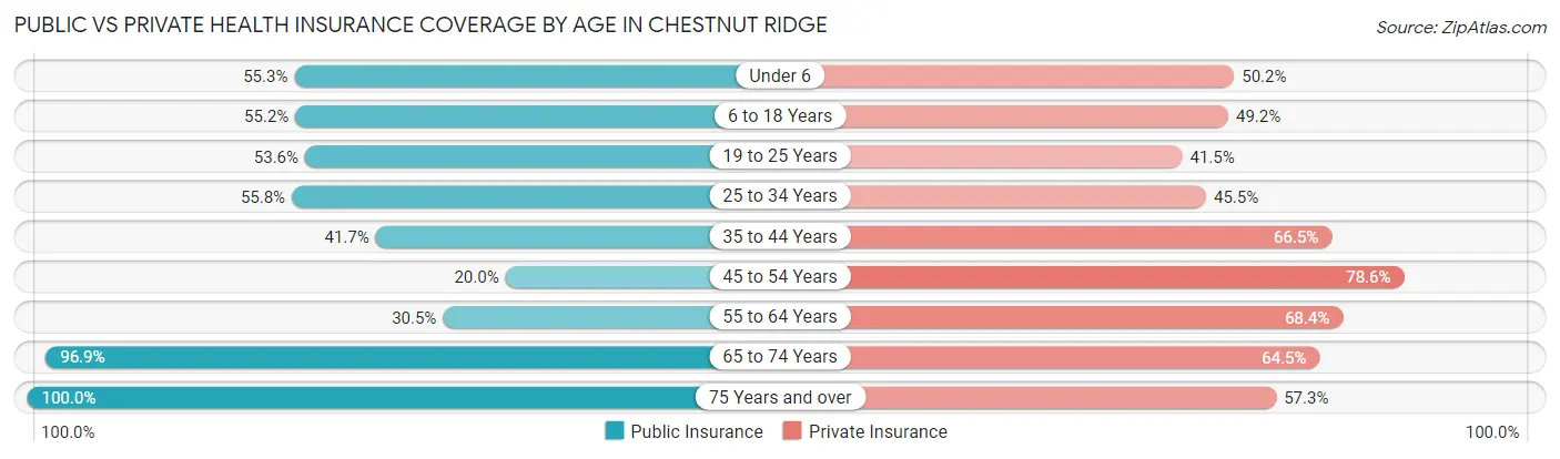 Public vs Private Health Insurance Coverage by Age in Chestnut Ridge