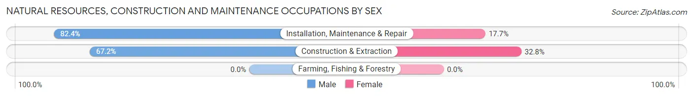 Natural Resources, Construction and Maintenance Occupations by Sex in Clark Mills