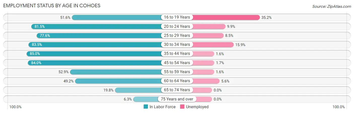 Employment Status by Age in Cohoes