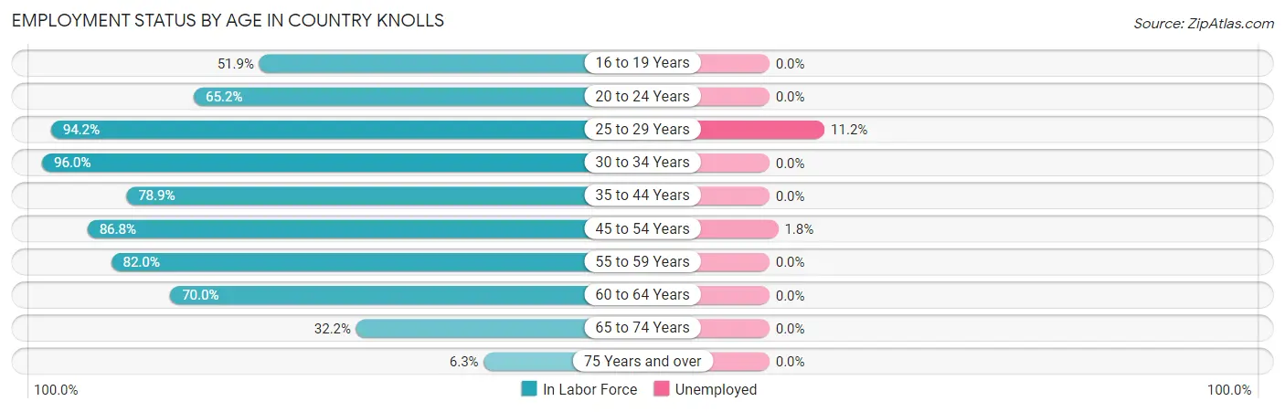 Employment Status by Age in Country Knolls
