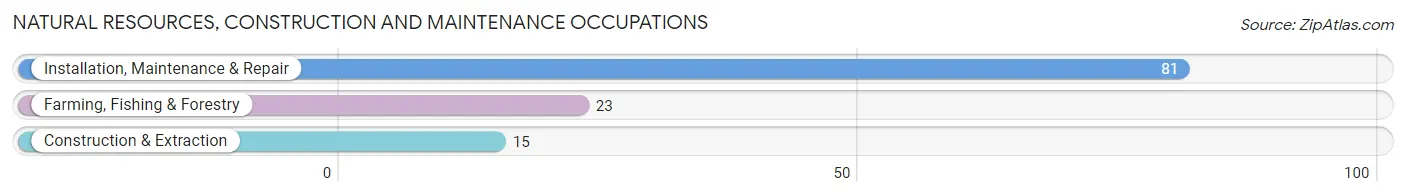 Natural Resources, Construction and Maintenance Occupations in Country Knolls