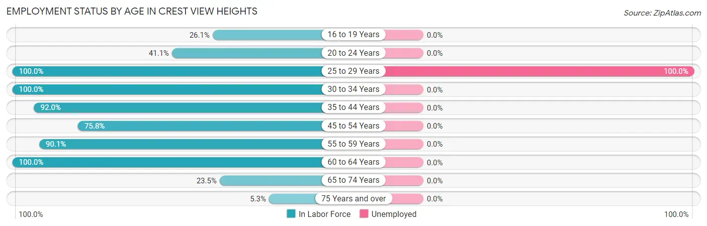 Employment Status by Age in Crest View Heights