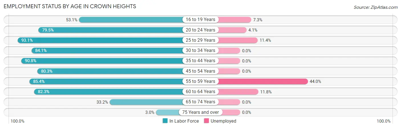 Employment Status by Age in Crown Heights