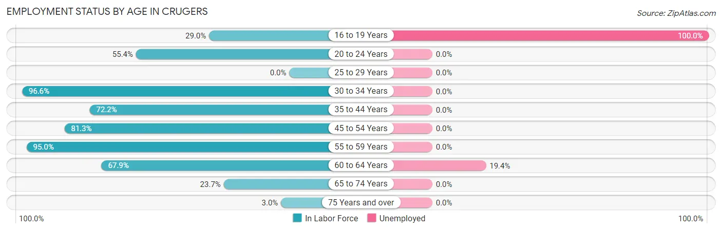 Employment Status by Age in Crugers