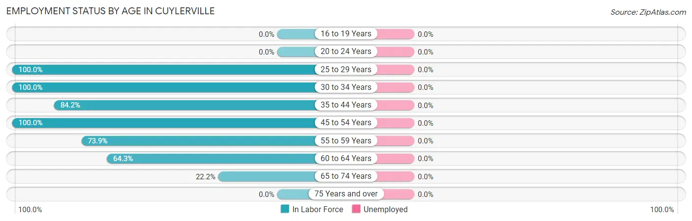 Employment Status by Age in Cuylerville