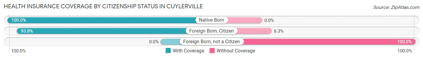 Health Insurance Coverage by Citizenship Status in Cuylerville
