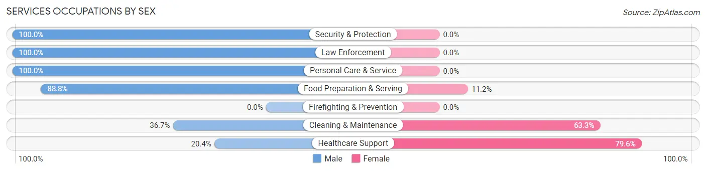 Services Occupations by Sex in Dansville