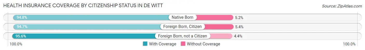 Health Insurance Coverage by Citizenship Status in De Witt