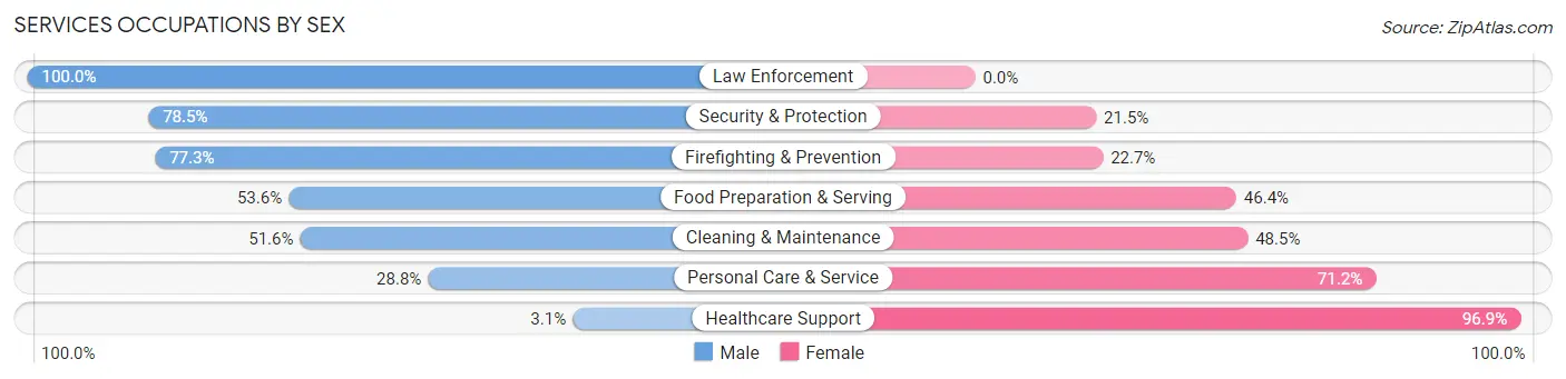 Services Occupations by Sex in De Witt
