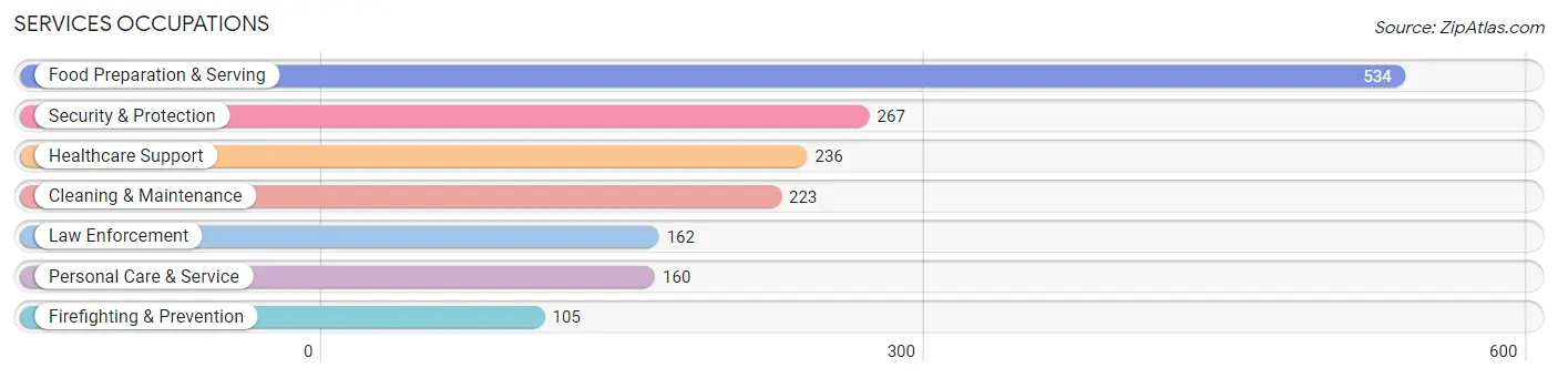 Services Occupations in Depew