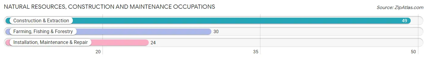 Natural Resources, Construction and Maintenance Occupations in Dover Plains