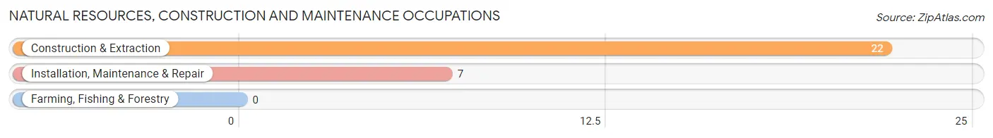 Natural Resources, Construction and Maintenance Occupations in Dresden