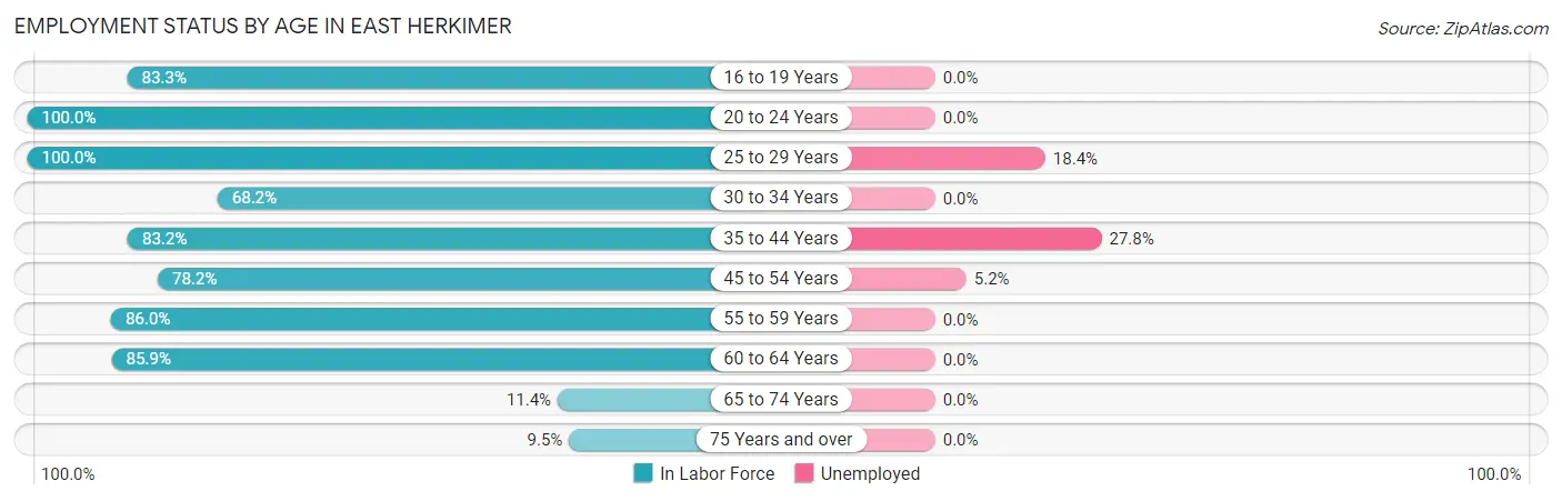 Employment Status by Age in East Herkimer