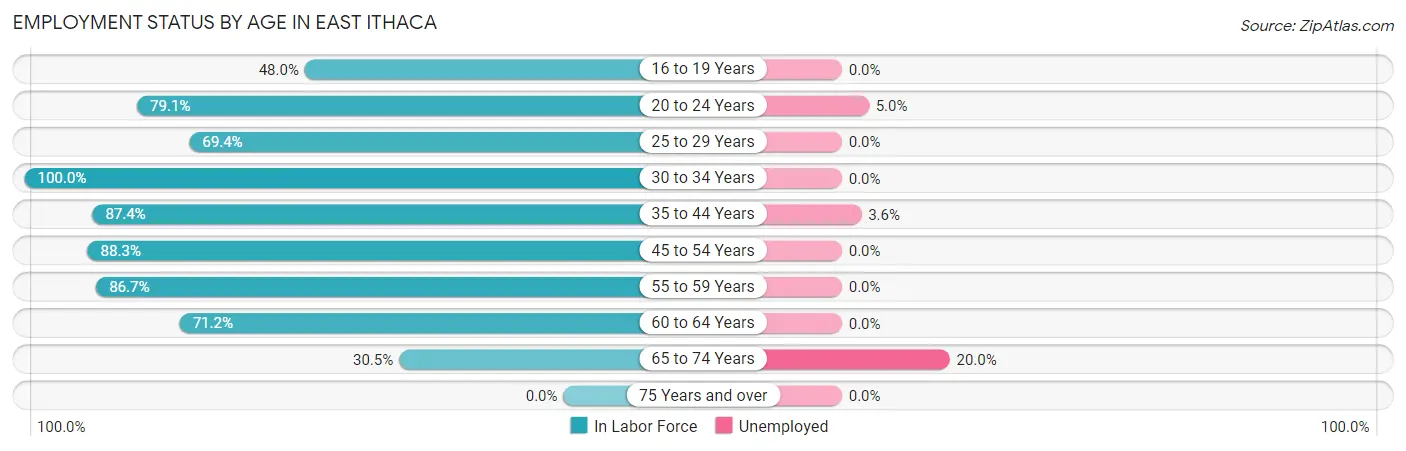 Employment Status by Age in East Ithaca