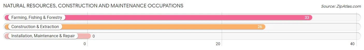 Natural Resources, Construction and Maintenance Occupations in East Marion