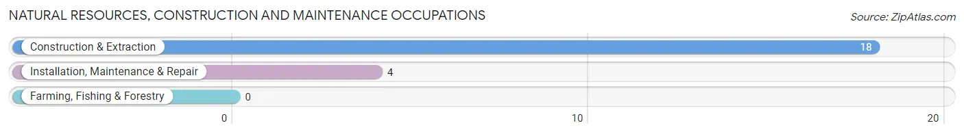 Natural Resources, Construction and Maintenance Occupations in East Randolph