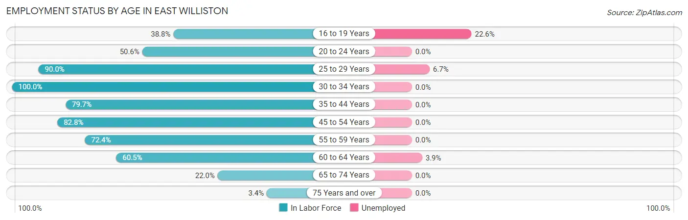 Employment Status by Age in East Williston