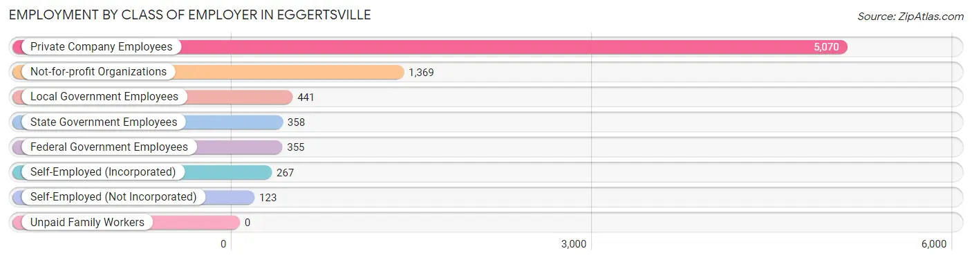 Employment by Class of Employer in Eggertsville