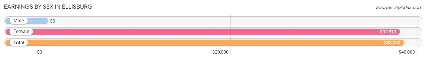 Earnings by Sex in Ellisburg