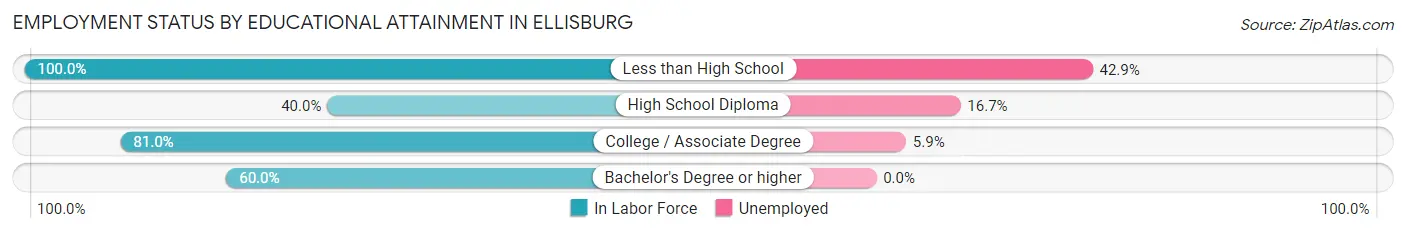 Employment Status by Educational Attainment in Ellisburg