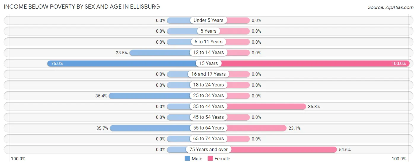 Income Below Poverty by Sex and Age in Ellisburg