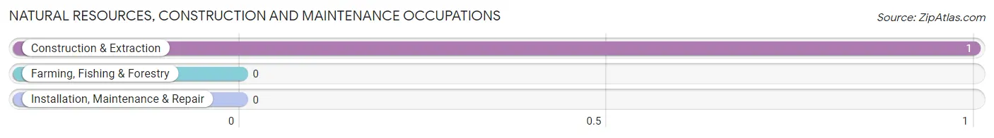 Natural Resources, Construction and Maintenance Occupations in Ellisburg