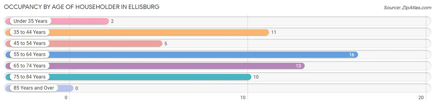 Occupancy by Age of Householder in Ellisburg