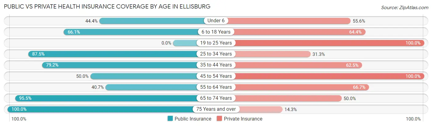 Public vs Private Health Insurance Coverage by Age in Ellisburg