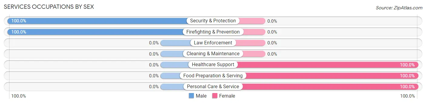 Services Occupations by Sex in Ellisburg
