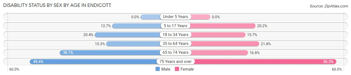 Disability Status by Sex by Age in Endicott