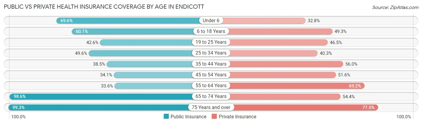 Public vs Private Health Insurance Coverage by Age in Endicott