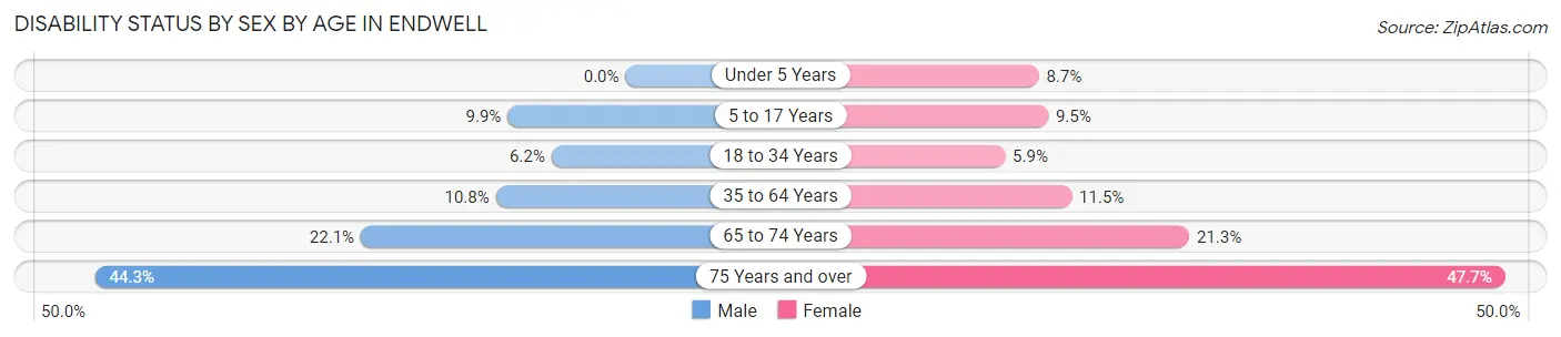 Disability Status by Sex by Age in Endwell