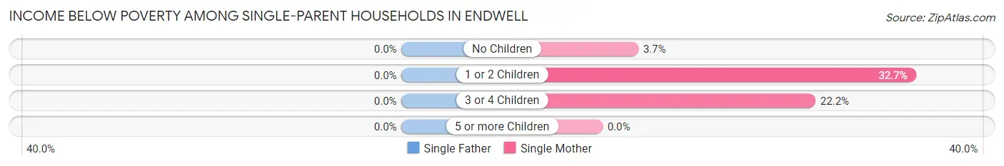 Income Below Poverty Among Single-Parent Households in Endwell