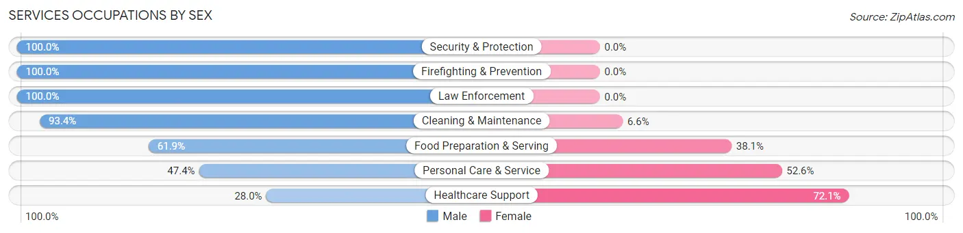 Services Occupations by Sex in Endwell