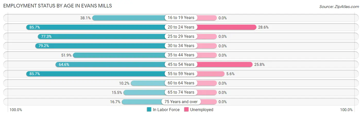 Employment Status by Age in Evans Mills