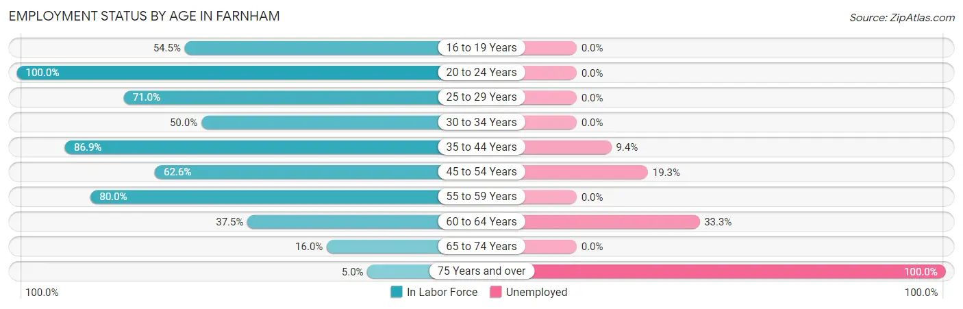 Employment Status by Age in Farnham
