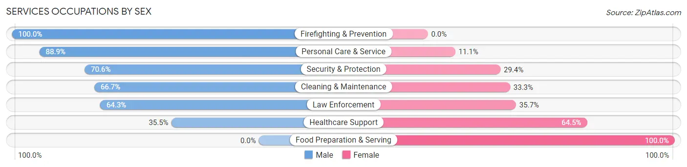 Services Occupations by Sex in Fort Ann