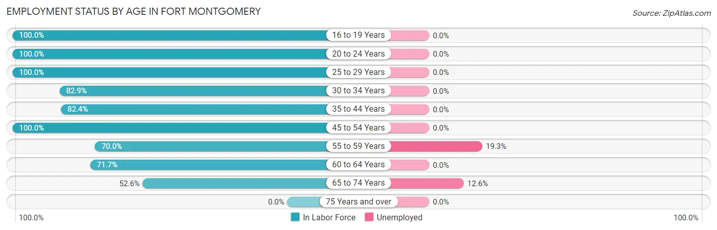 Employment Status by Age in Fort Montgomery