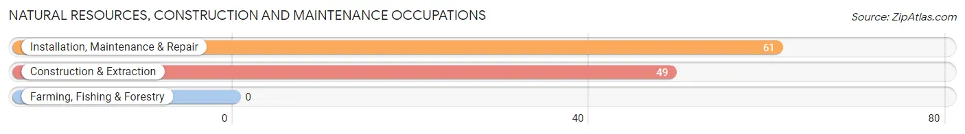 Natural Resources, Construction and Maintenance Occupations in Fort Plain