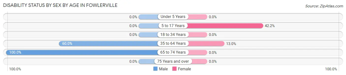 Disability Status by Sex by Age in Fowlerville