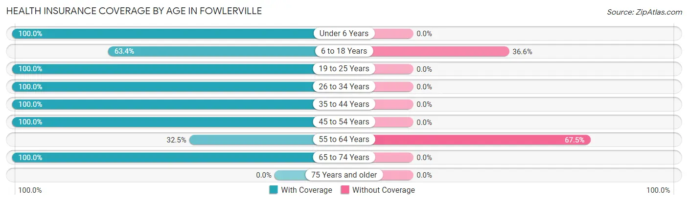 Health Insurance Coverage by Age in Fowlerville
