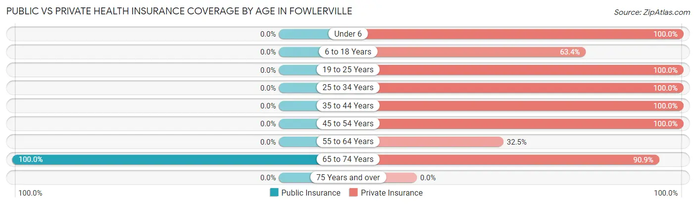 Public vs Private Health Insurance Coverage by Age in Fowlerville