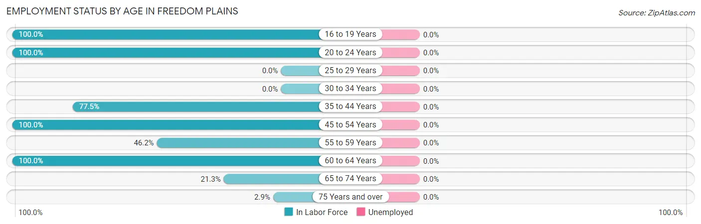 Employment Status by Age in Freedom Plains