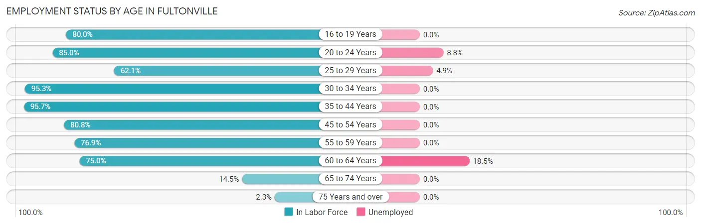 Employment Status by Age in Fultonville