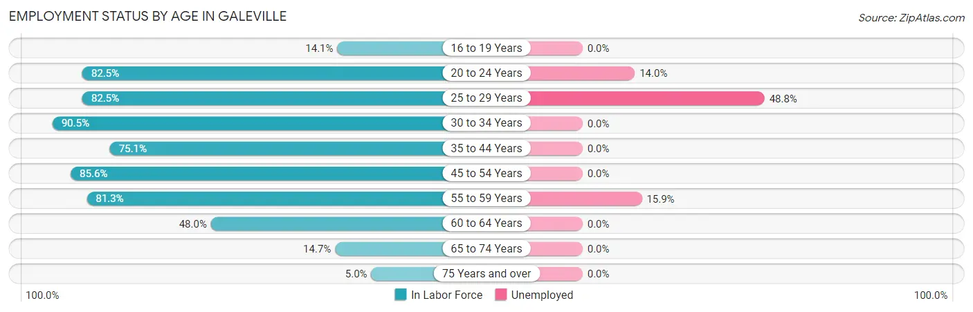 Employment Status by Age in Galeville