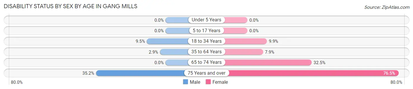 Disability Status by Sex by Age in Gang Mills