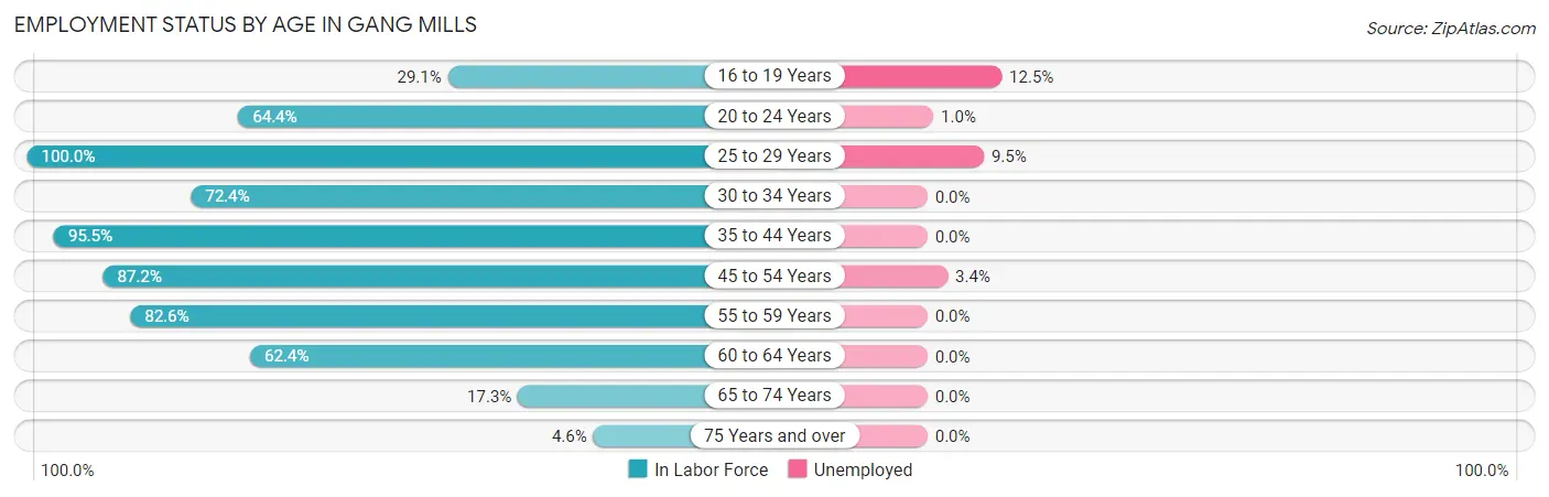 Employment Status by Age in Gang Mills