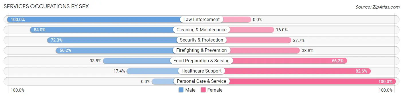 Services Occupations by Sex in Garden City Park